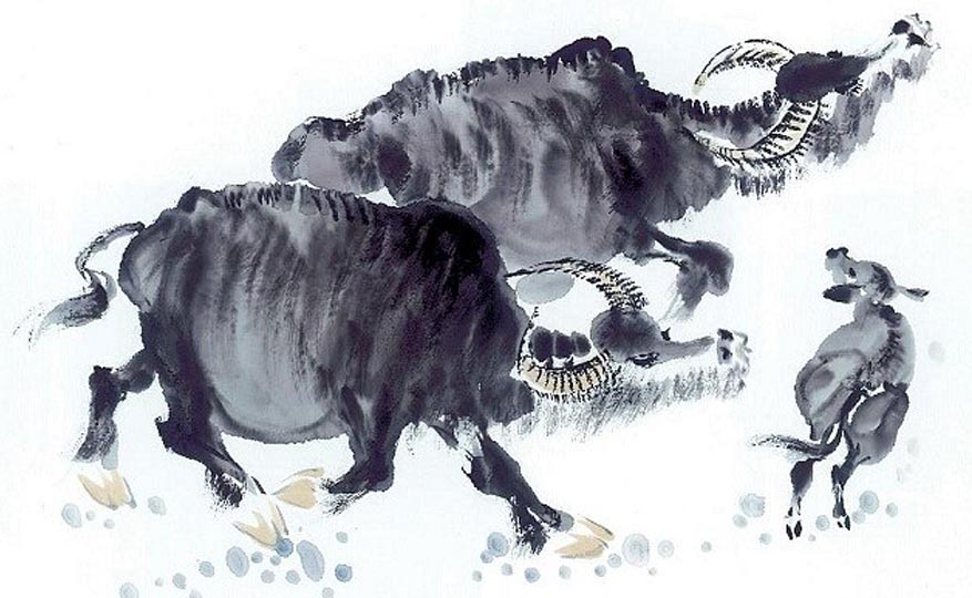 Từ th&aacute;ng 5 đến th&aacute;ng 7/2026: 3 con gi&aacute;p c&oacute; t&iacute;n hiệu t&agrave;i lộc t&iacute;ch cực, cơ hội tăng thu nhập r&otilde; rệt - Ảnh 1.