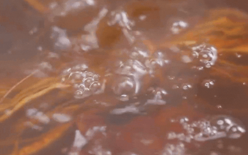 Làm gà hầm thảo mộc tại nhà với bí quyết Đơn giản không cần sang Trung Quốc - Ảnh 5.