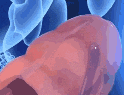 Sau tuổi 45, việc kiểm tra sức khỏe n&agrave;y l&agrave; điều bắt buộc! - Ảnh 2.