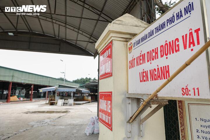 Cận cảnh l&ograve; mổ tuồn lợn bệnh v&agrave;o trường học ở H&agrave; Nội 2026 - Ảnh 7.