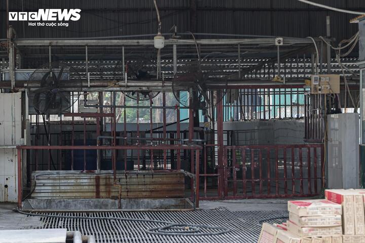 Cận cảnh l&ograve; mổ tuồn lợn bệnh v&agrave;o trường học ở H&agrave; Nội 2026 - Ảnh 10.