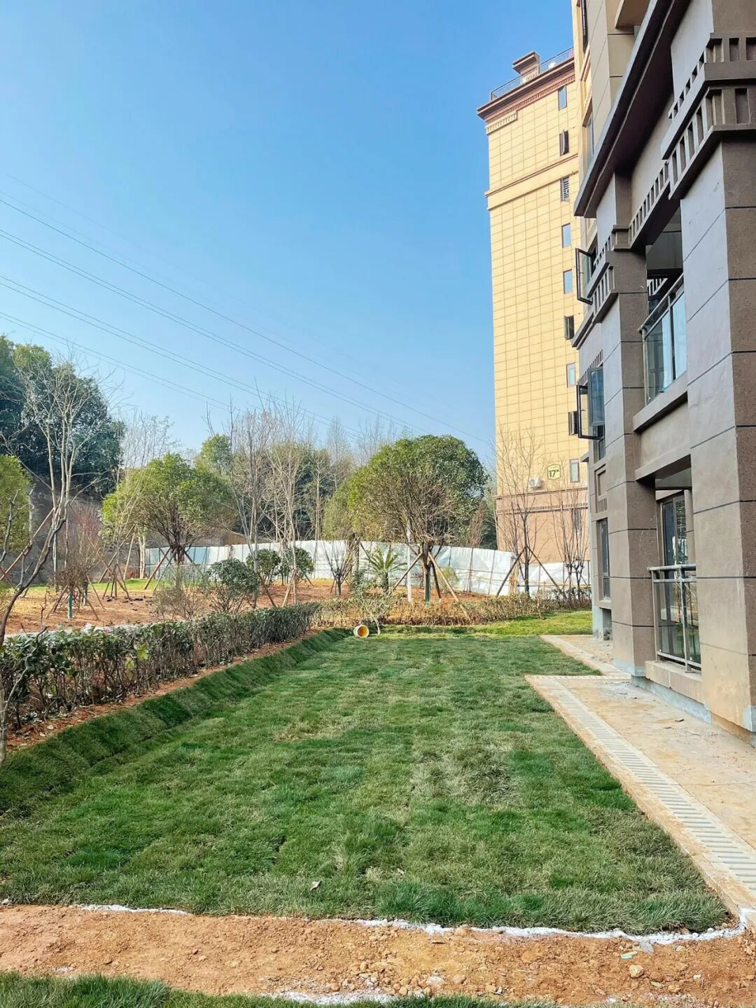 T&ocirc;i b&aacute;n căn hộ tầng 1 sau 3 năm chịu đựng - chuyển l&ecirc;n tầng cao nhất mới hiểu: Chọn sai tầng c&oacute; thể ảnh hưởng trầm trọng đến chất lượng sống - Ảnh 4.