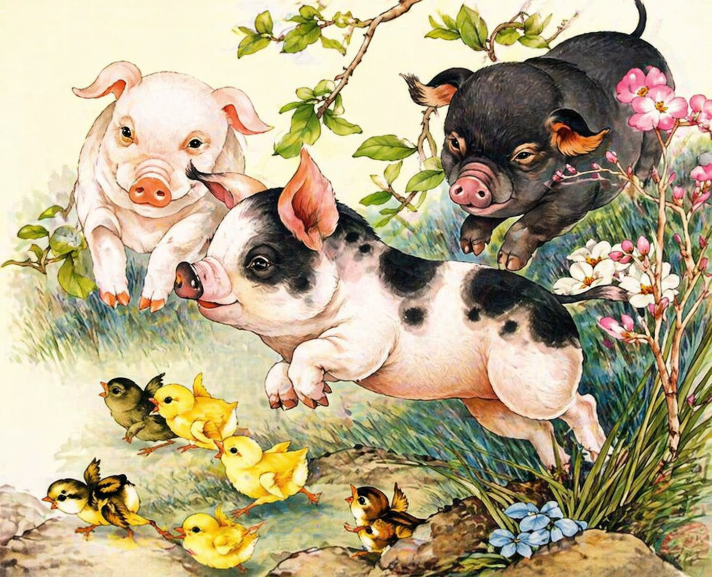 Top 4 con gi&aacute;p bất ngờ gi&agrave;u c&oacute; trong th&aacute;ng 5 - Ảnh 3.