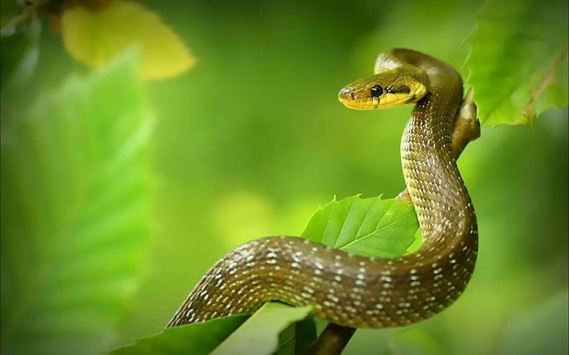 Top 4 con gi&aacute;p bất ngờ gi&agrave;u c&oacute; trong th&aacute;ng 5 - Ảnh 4.