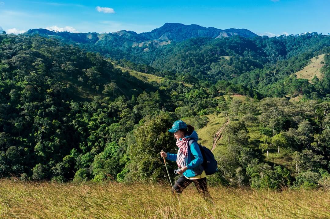 3 Lưu ý quan trọng khi trekking rừng an toàn dịp nghỉ lễ 30 / 4 - 1 / 5 năm 2026 - Ảnh 3.