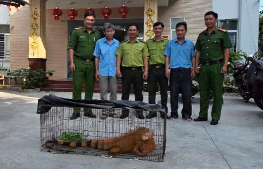 Tiếp nhận rồng Nam Mỹ do người d&acirc;n giao nộp - Ảnh 2.