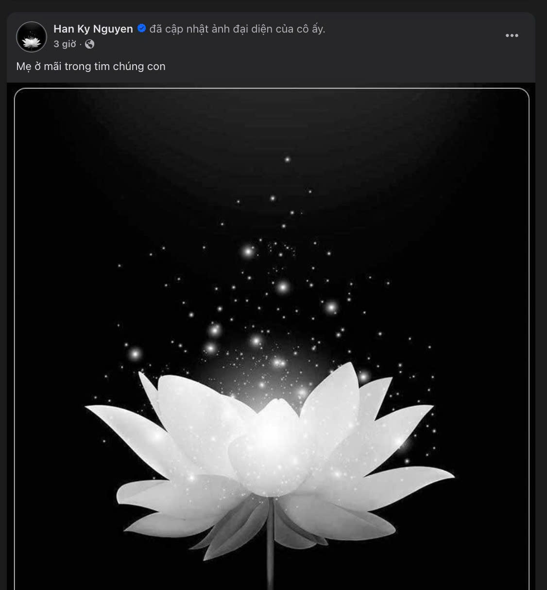 Mất m&aacute;t lớn của người mẫu Kỳ H&acirc;n v&agrave; những lời động vi&ecirc;n từ sao Việt - Ảnh 1.