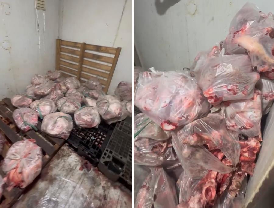 Đột k&iacute;ch l&ograve; mổ lậu 2026 ph&aacute;t hiện hơn 500kg thịt heo bốc m&ugrave;i tại Đồng Nai - Ảnh 1.