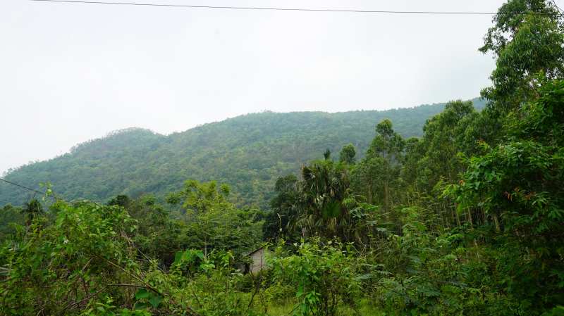 Cứu nam sinh Tam Đảo 19 tuổi Sau 37 giờ mất t&iacute;ch giữa rừng gi&agrave; khắc nghiệt - Ảnh 4.