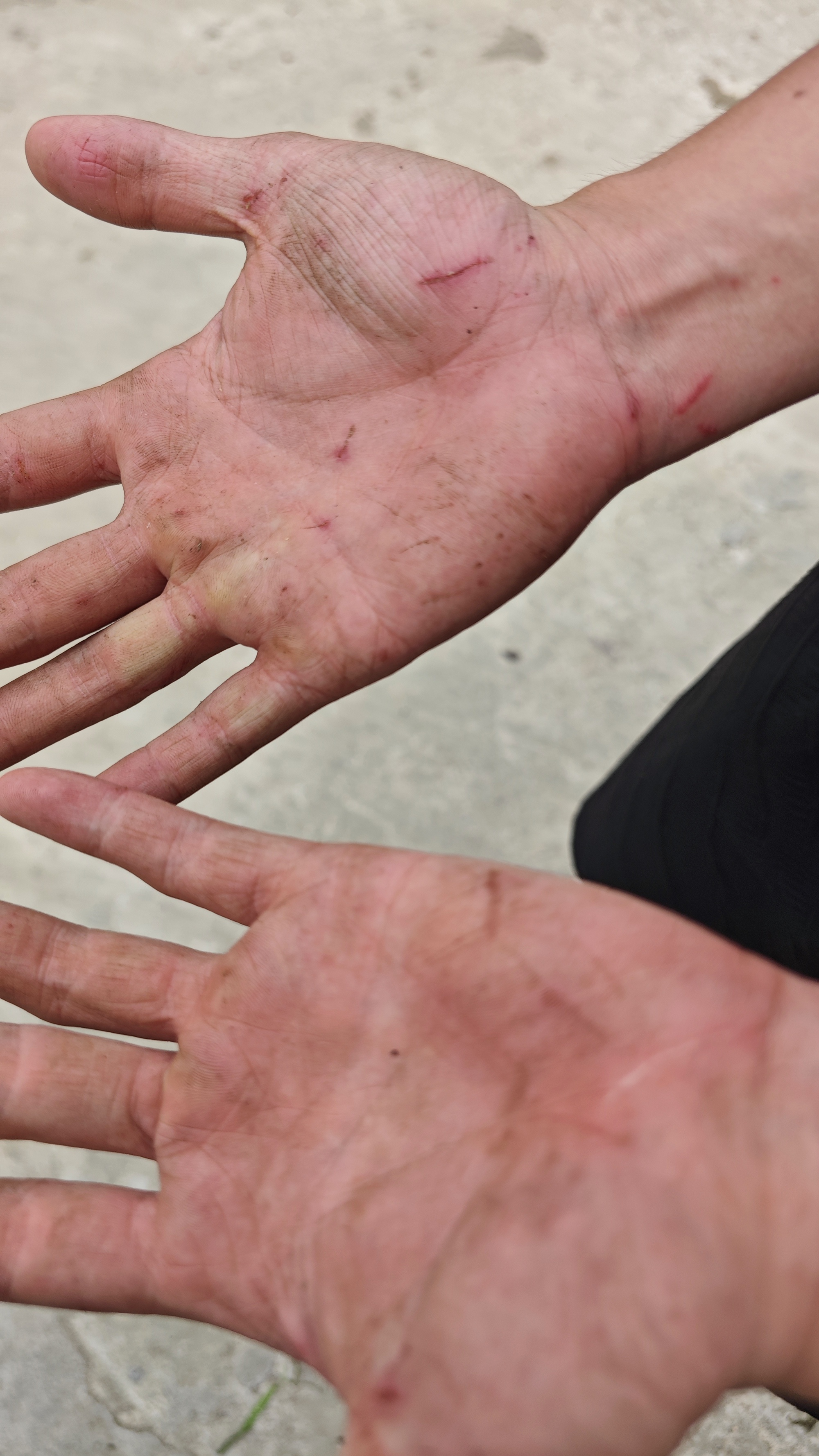 Nam sinh lạc rừng Tam Đảo 37 giờ: H&agrave;nh tr&igrave;nh sinh tồn đầy cam go - Ảnh 4.