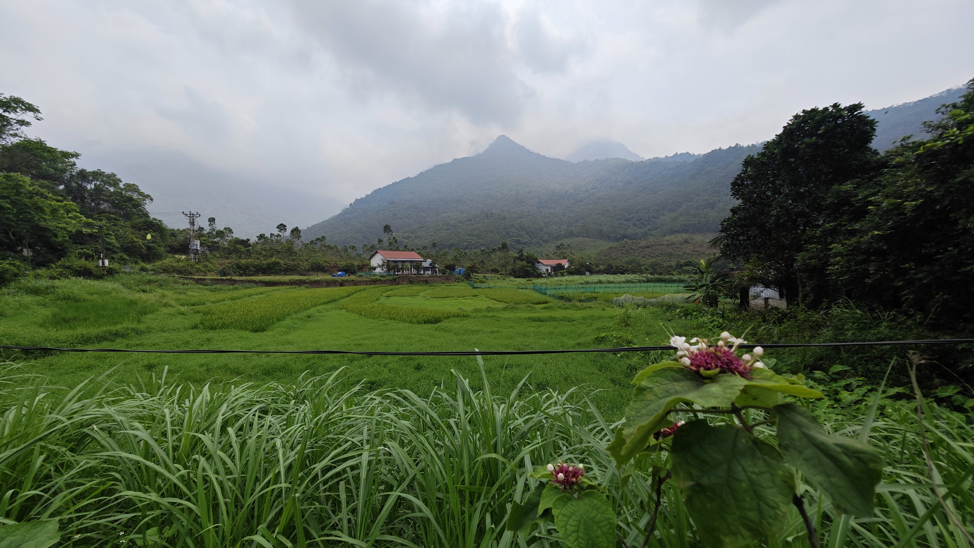 Nam sinh lạc rừng Tam Đảo 37 giờ: H&agrave;nh tr&igrave;nh sinh tồn đầy cam go - Ảnh 2.