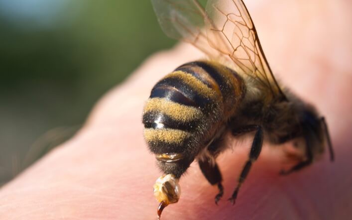 Đi tảo mộ, 8 người nhập viện gấp v&igrave; điều n&agrave;y - Ảnh 2.