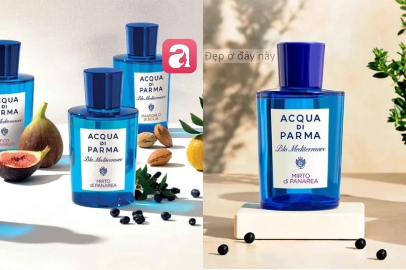 Review nhanh loạt nước hoa &ldquo;m&aacute;t lạnh&rdquo; cho m&ugrave;a h&egrave;: Tươi, sạch v&agrave; cực dễ d&ugrave;ng - Ảnh 2.