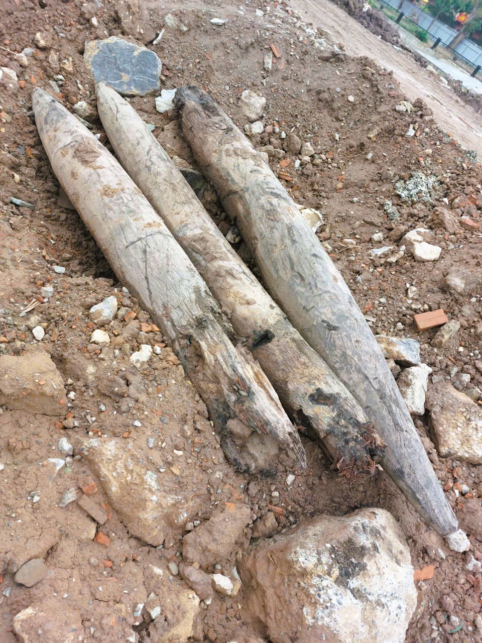 Cận cảnh 3 cọc gỗ cổ ph&aacute;t hiện dưới s&ocirc;ng, nghi c&oacute; từ thời Trần - Ảnh 4.