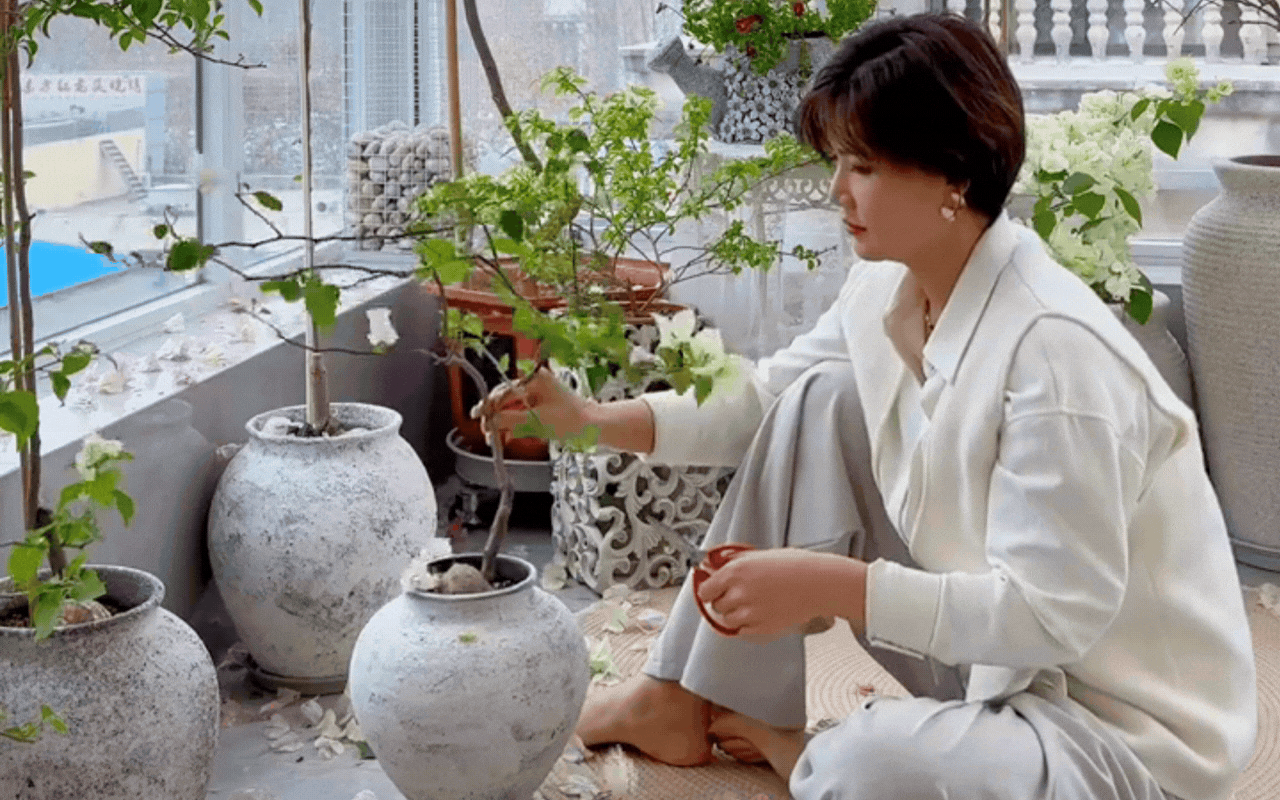 Cắt tỉa c&agrave;ng 