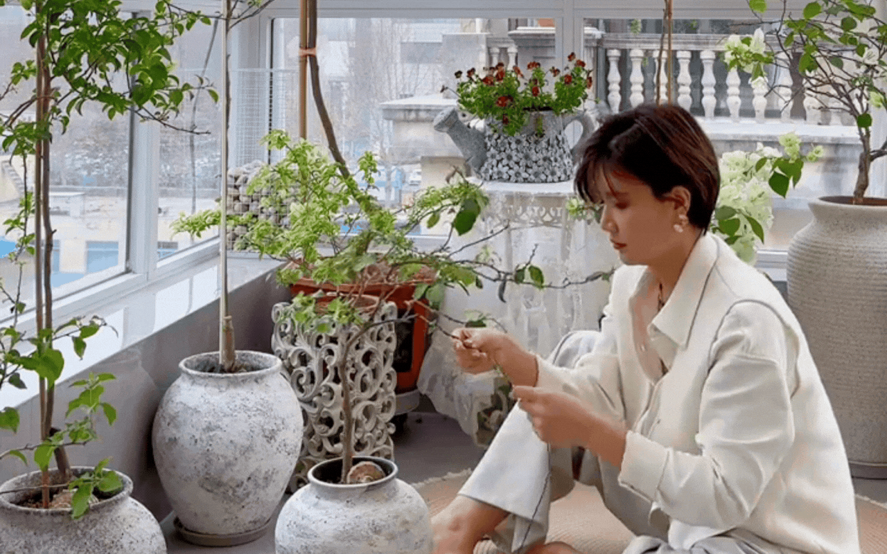 Cắt tỉa c&agrave;ng 