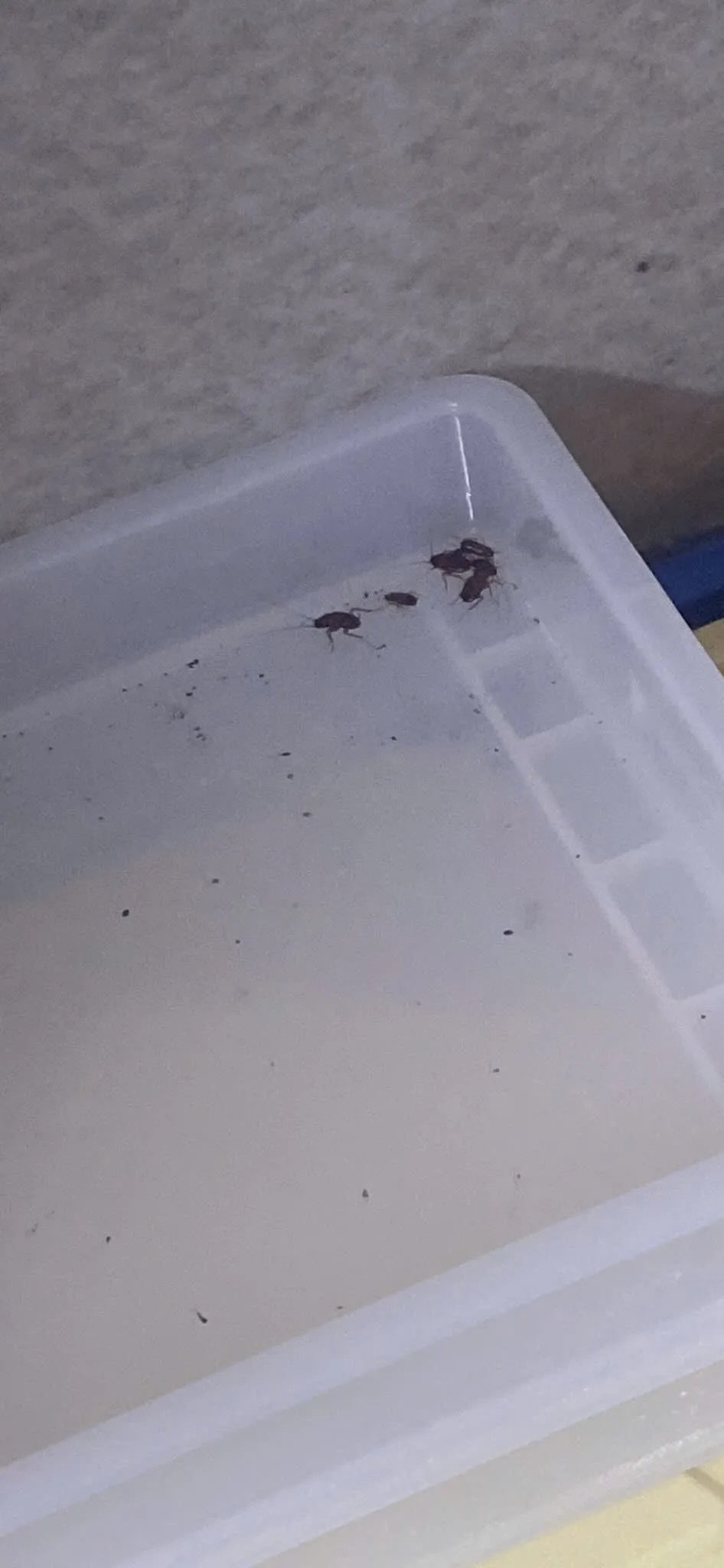 X&ocirc;n xao nghi vấn bếp bẩn tại tiệm b&aacute;nh nổi tiếng H&agrave; Nội , đại diện ch&iacute;nh thức l&ecirc;n tiếng - Ảnh 2.