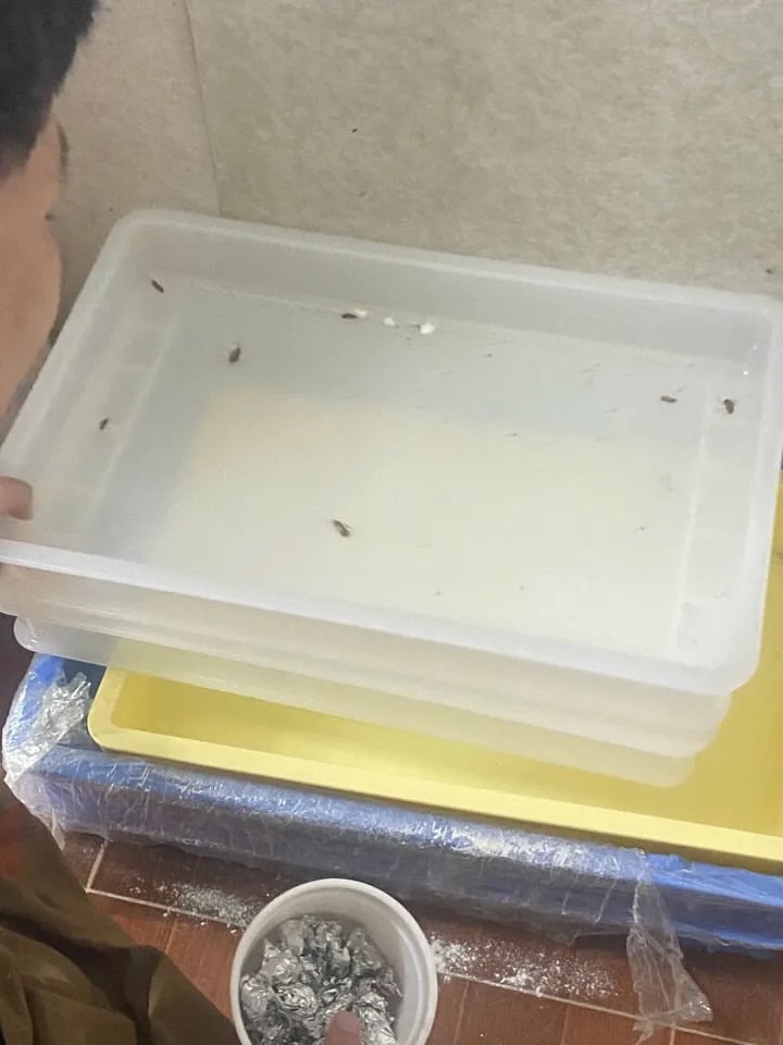 X&ocirc;n xao nghi vấn bếp bẩn tại tiệm b&aacute;nh nổi tiếng H&agrave; Nội , đại diện ch&iacute;nh thức l&ecirc;n tiếng - Ảnh 3.