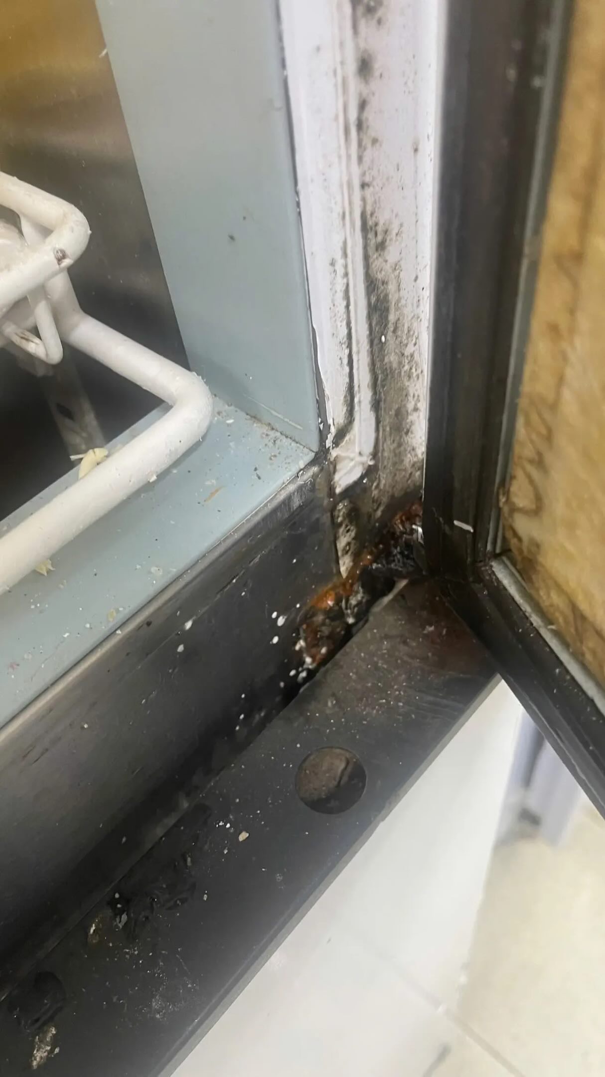 X&ocirc;n xao nghi vấn bếp bẩn tại tiệm b&aacute;nh nổi tiếng H&agrave; Nội , đại diện ch&iacute;nh thức l&ecirc;n tiếng - Ảnh 4.