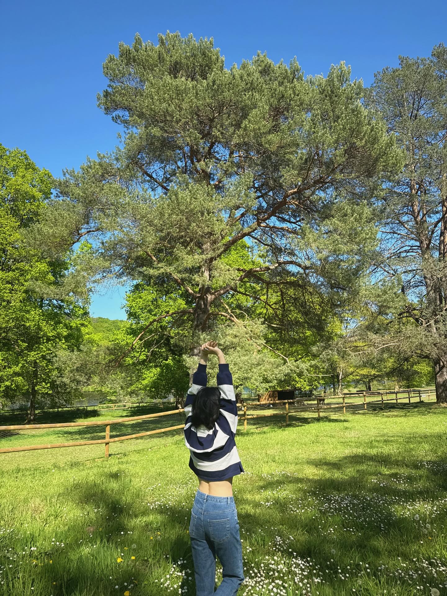 Song Hye Kyo c&ocirc;ng khai v&ograve;ng eo tuổi 45- Ảnh 2.