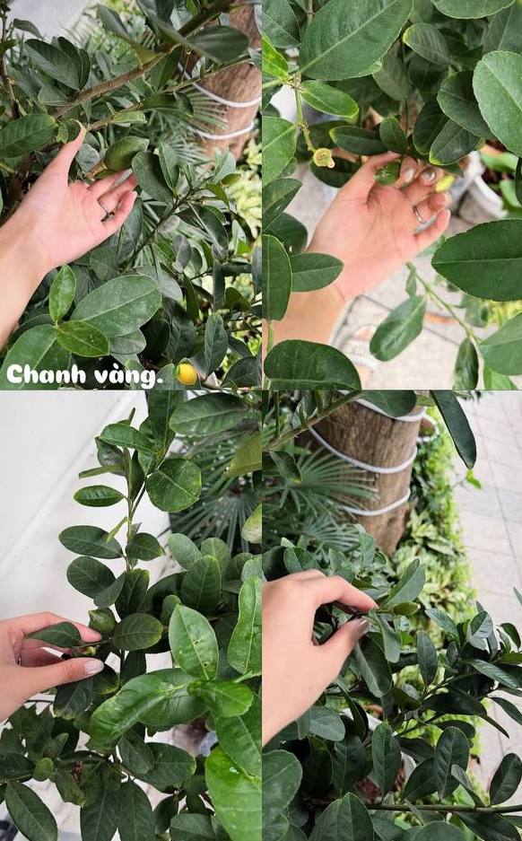 Do&atilde;n Hải My khoe vẻ đẹp vai trần quyến rũ b&ecirc;n Đo&agrave;n Văn Hậu trong năm 2026 - Ảnh 4.