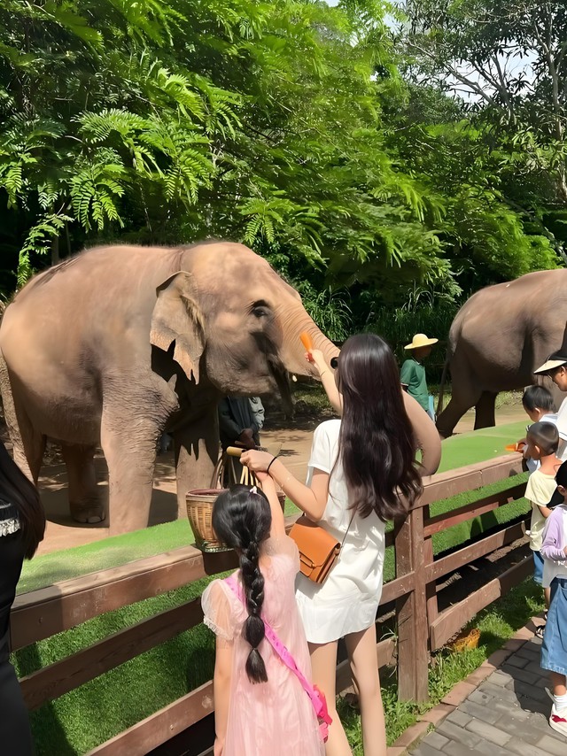 3 nơi cha mẹ EQ cao sẽ đưa con tới dịp lễ n&agrave;y- Ảnh 1.