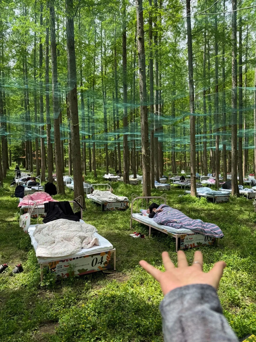 Cuộc thi ngủ trong rừng 2026: Trải nghiệm độc đ&aacute;o v&agrave; giải thưởng hấp dẫn cho thần ngủ - Ảnh 2.