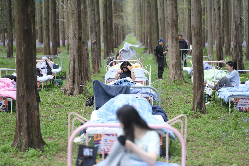 Cuộc thi ngủ trong rừng 2026: Trải nghiệm độc đ&aacute;o v&agrave; giải thưởng hấp dẫn cho thần ngủ - Ảnh 6.