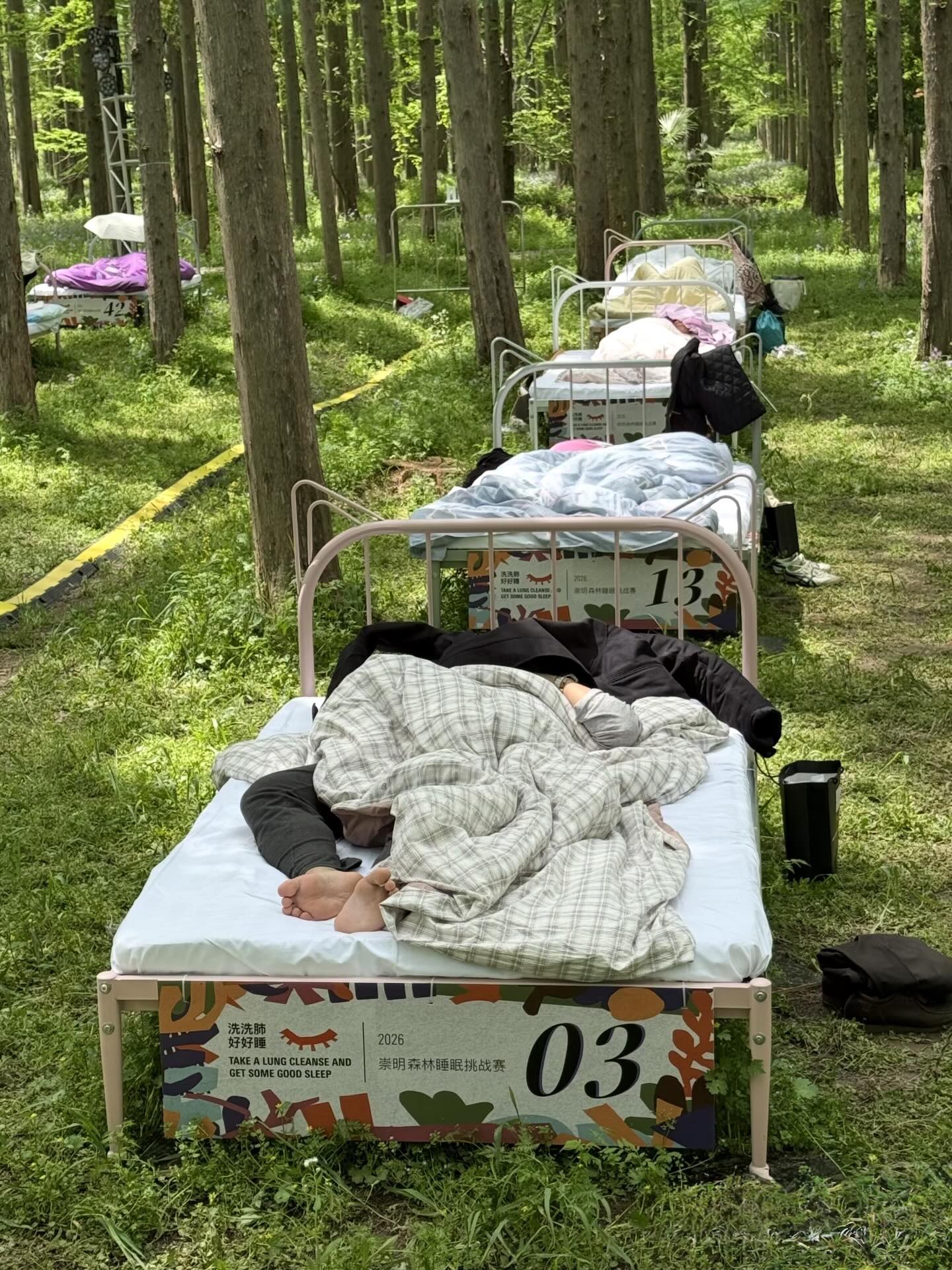 Cuộc thi ngủ trong rừng 2026: Trải nghiệm độc đ&aacute;o v&agrave; giải thưởng hấp dẫn cho thần ngủ - Ảnh 4.