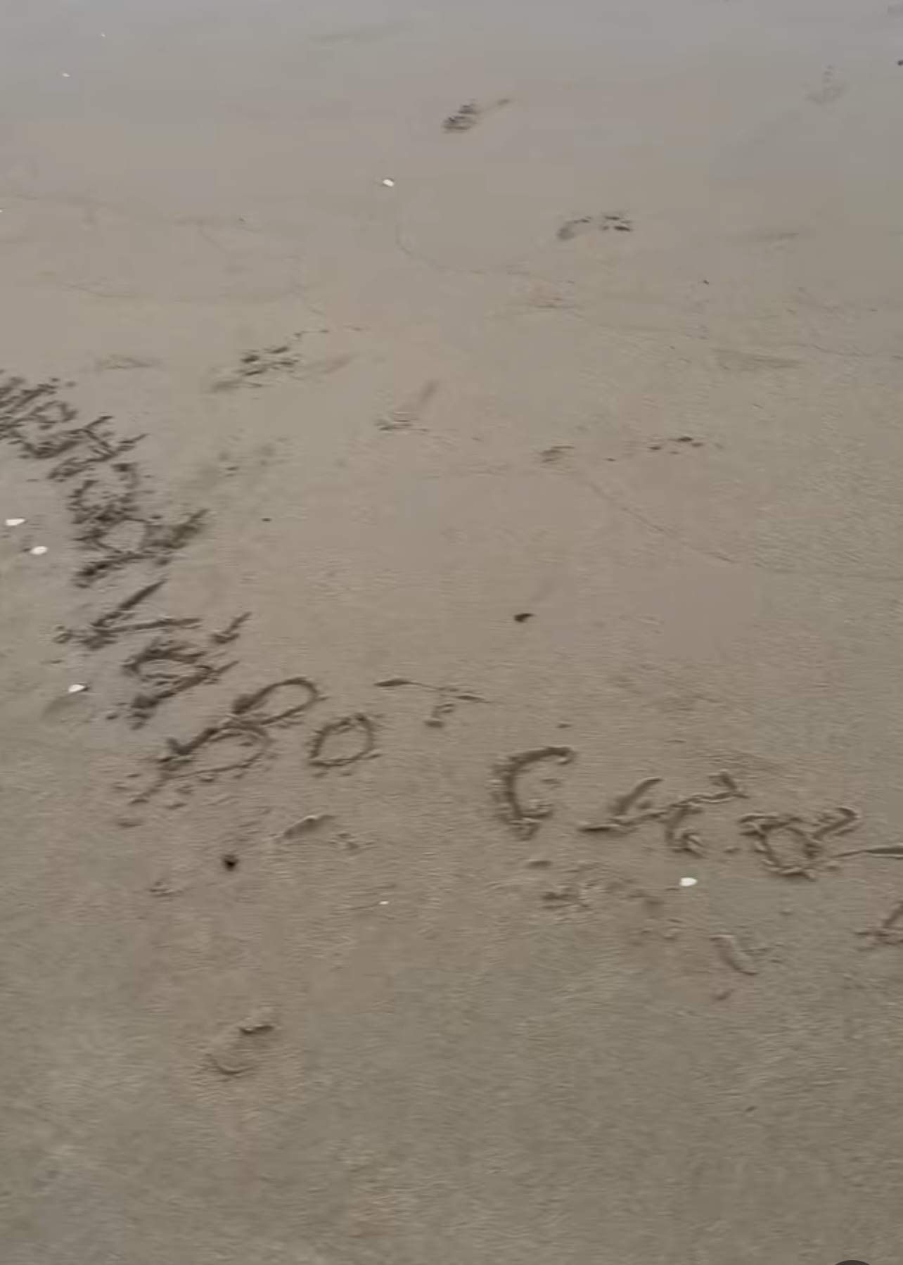 Nh&igrave;n b&eacute; Bo v&ocirc; tư quấn qu&yacute;t b&ecirc;n bố Cương chợt nhận ra: D&aacute;ng vẻ của một đứa trẻ hạnh ph&uacute;c thật sự l&agrave; thứ kh&ocirc;ng thể 