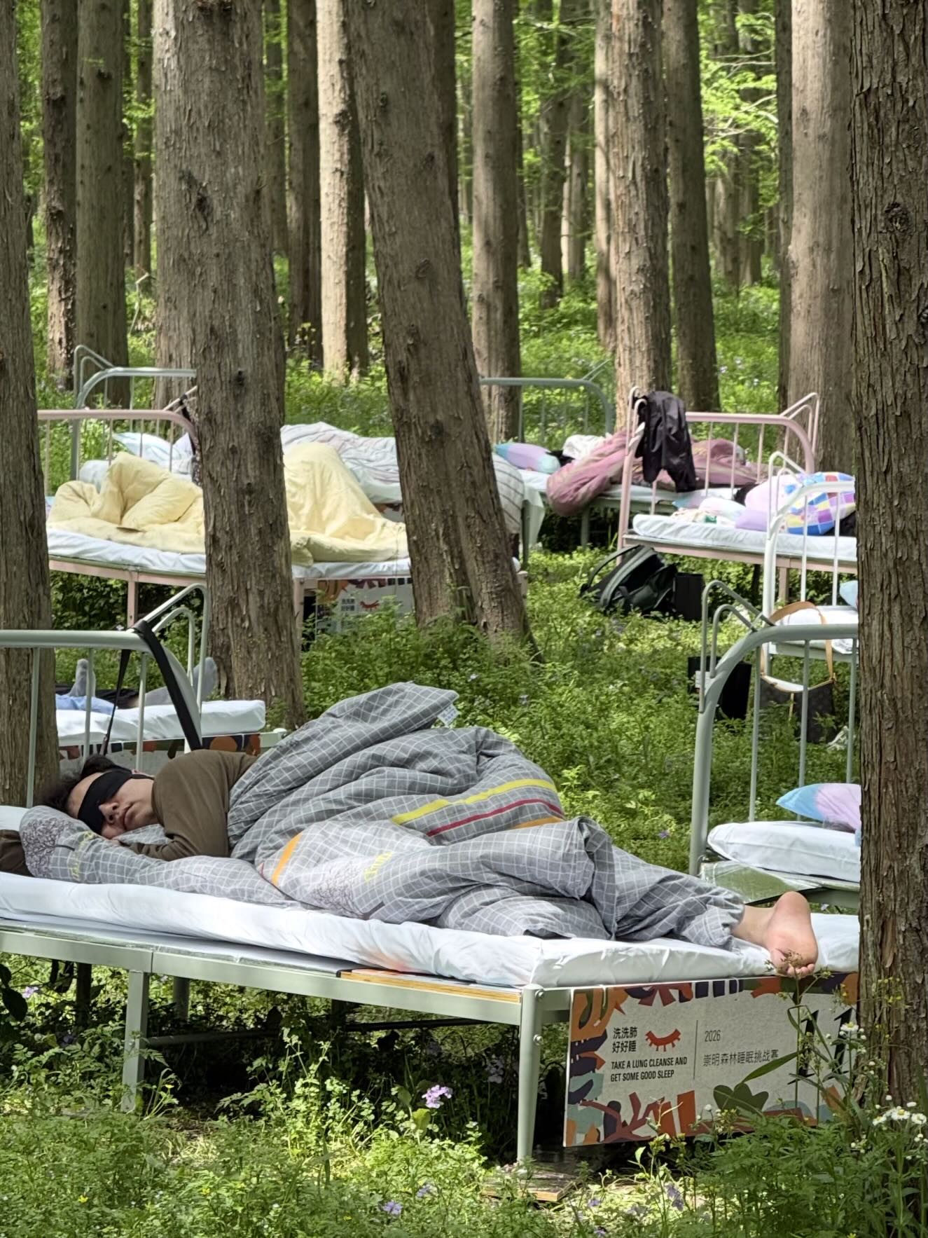 Cuộc thi ngủ trong rừng 2026: Trải nghiệm độc đ&aacute;o v&agrave; giải thưởng hấp dẫn cho thần ngủ - Ảnh 3.