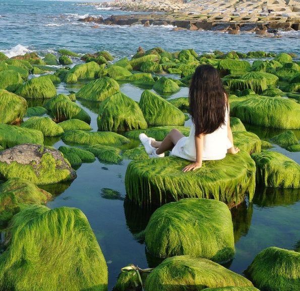 Kh&aacute;m ph&aacute; Ph&uacute; Y&ecirc;n: Thi&ecirc;n đường du lịch nguy&ecirc;n bản năm 2026 - Ảnh 6.