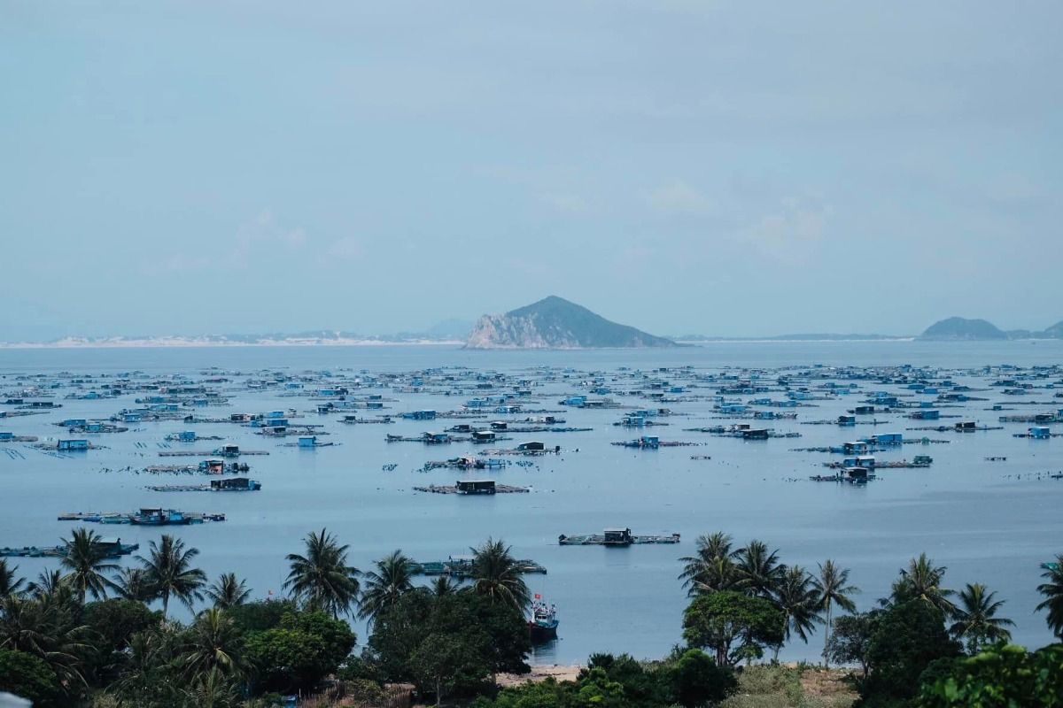 Kh&aacute;m ph&aacute; Ph&uacute; Y&ecirc;n: Thi&ecirc;n đường du lịch nguy&ecirc;n bản năm 2026 - Ảnh 7.