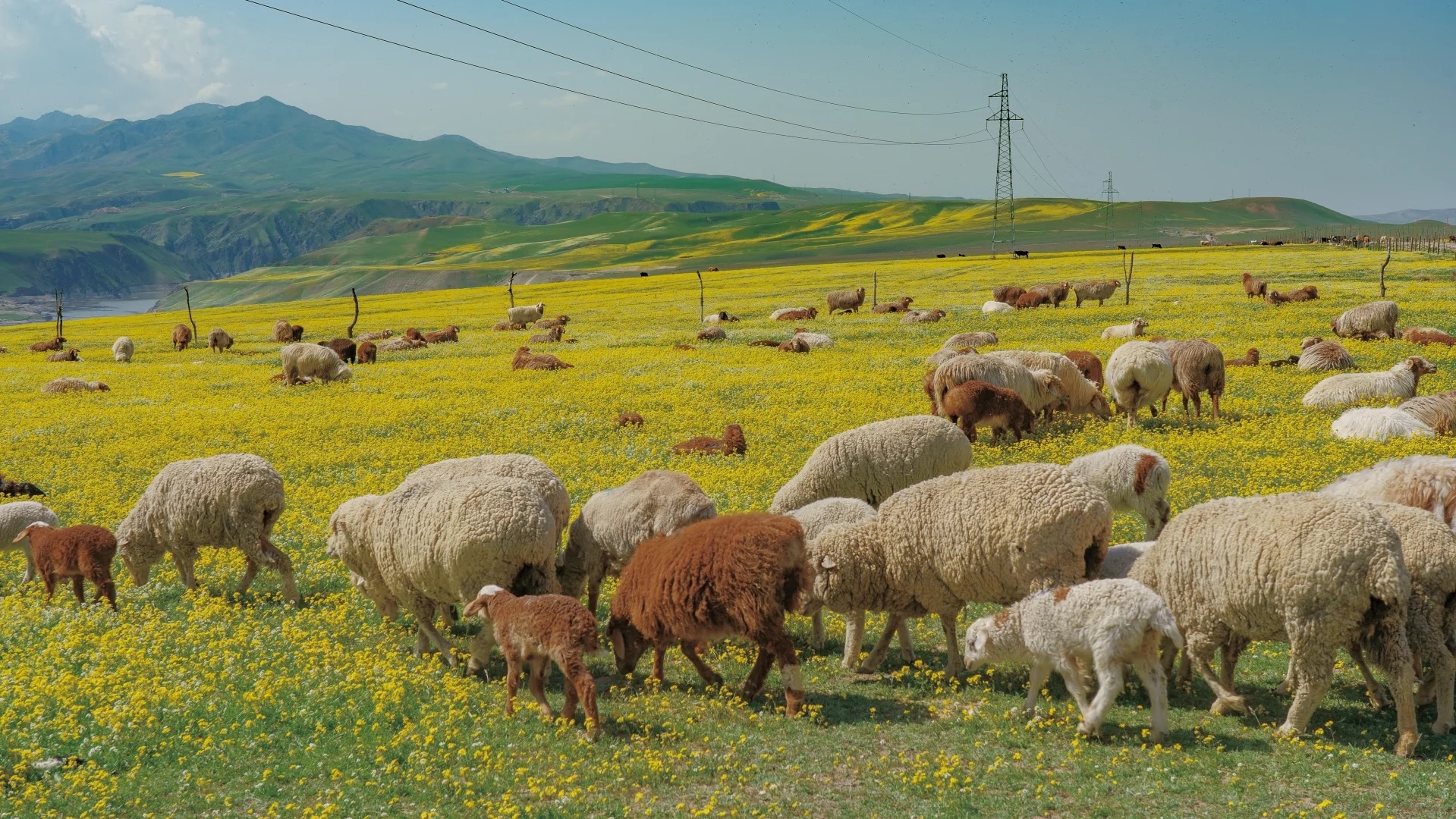 Nghỉ lễ tại nh&agrave;: Trải nghiệm staycation tuyệt vời cho phụ nữ th&agrave;nh thị năm 2026 - Ảnh 2.