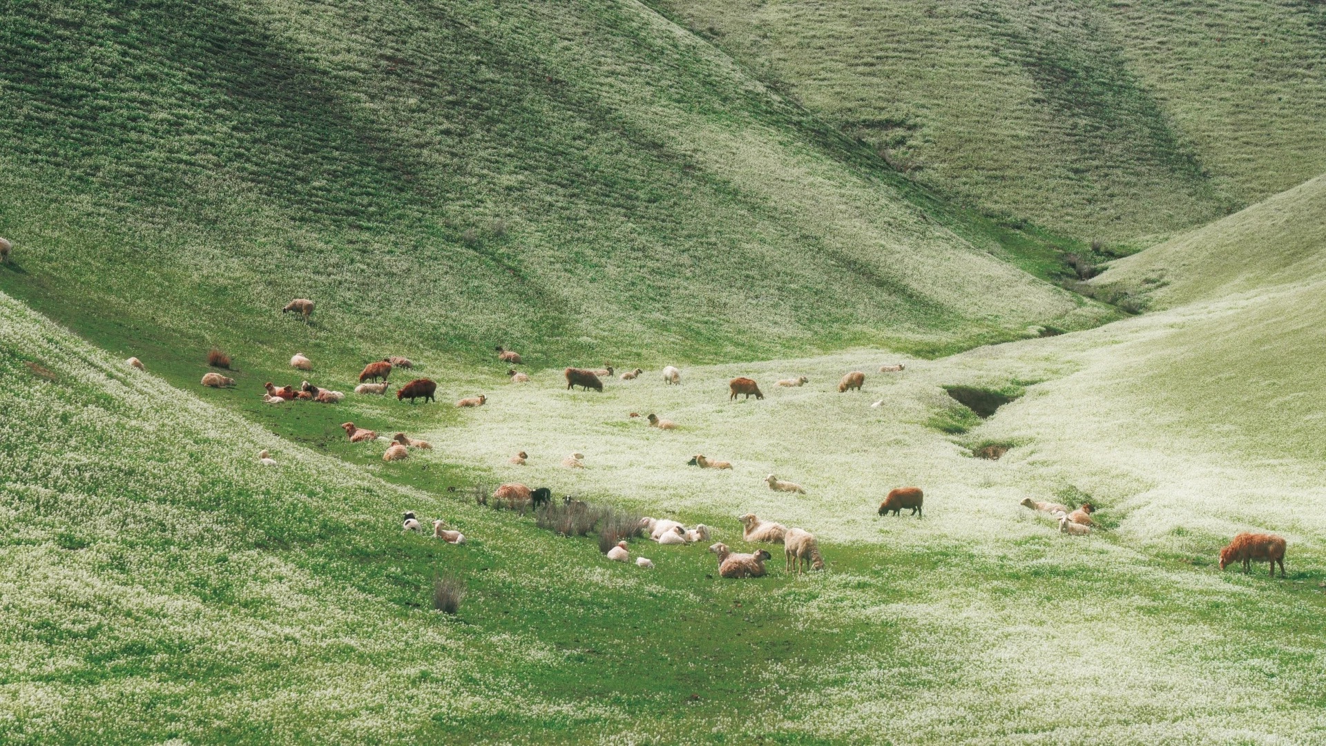 Nghỉ lễ tại nh&agrave;: Trải nghiệm staycation tuyệt vời cho phụ nữ th&agrave;nh thị năm 2026 - Ảnh 1.