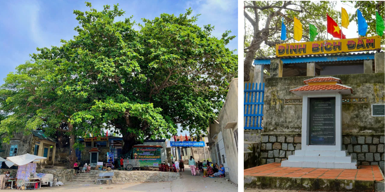 Kh&aacute;m ph&aacute; B&iacute;ch Đầm: L&agrave;ng ch&agrave;i hoang sơ giữa Nha Trang năm 2026 - Ảnh 4.
