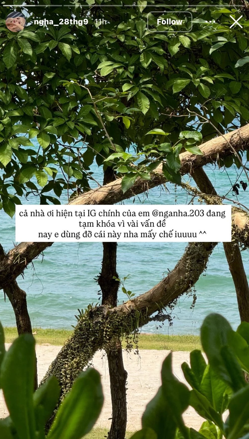 H&agrave; M&ocirc;i v&agrave; Andree: Tin đồn hẹn h&ograve; g&acirc;y sốt tại Ph&uacute; Quốc 2026 - Ảnh 5.