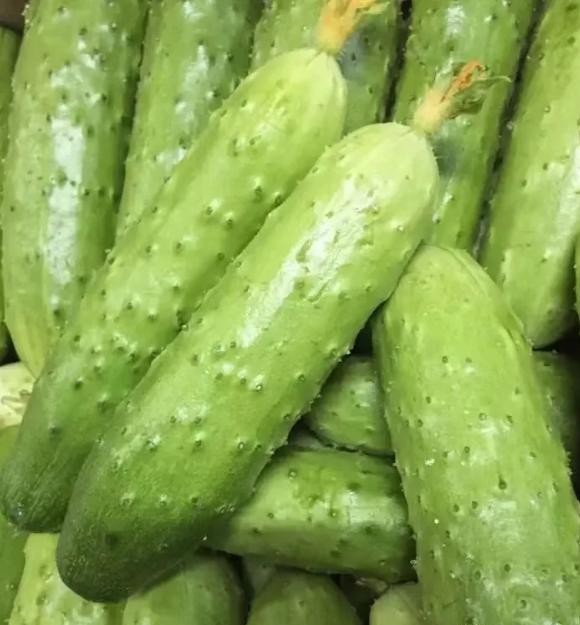 Tr&aacute;nh 4 lỗi n&agrave;y khi chọn dưa chuột th&igrave; những người b&aacute;n rau phải gọi bạn l&agrave; chuy&ecirc;n gia - Ảnh 2.