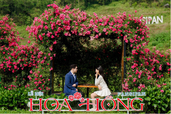 H&agrave;ng vạn du kh&aacute;ch đổ về Fansipan, n&ocirc; nức check in Lễ hội Hoa hồng 2026 - Ảnh 1.
