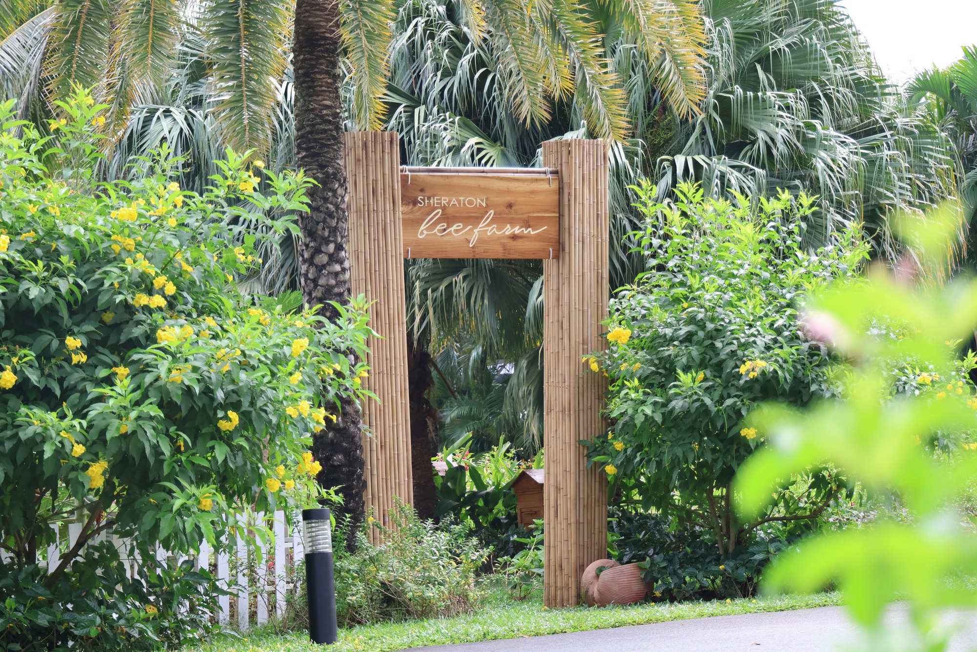 Ph&uacute; Quốc 2026: Khi 