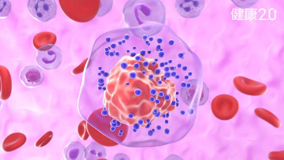 Nhiều người chạm v&agrave;o thứ n&agrave;y mỗi ng&agrave;y m&agrave; kh&ocirc;ng biết nguy cơ ung thư v&uacute; c&oacute; thể tăng gấp 7 lần, c&aacute;c chuy&ecirc;n gia 