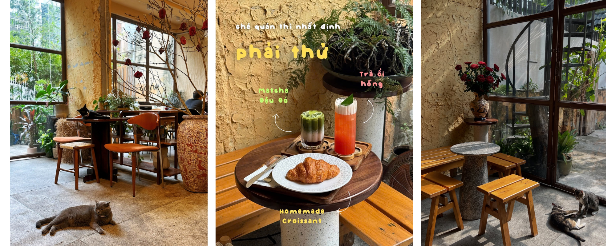 Kh&aacute;m ph&aacute; 12 Qu&aacute;n c&agrave; ph&ecirc; TP . HCM l&yacute; tưởng cho lễ hội 30 / 4 - 1 / 5 - Ảnh 16.