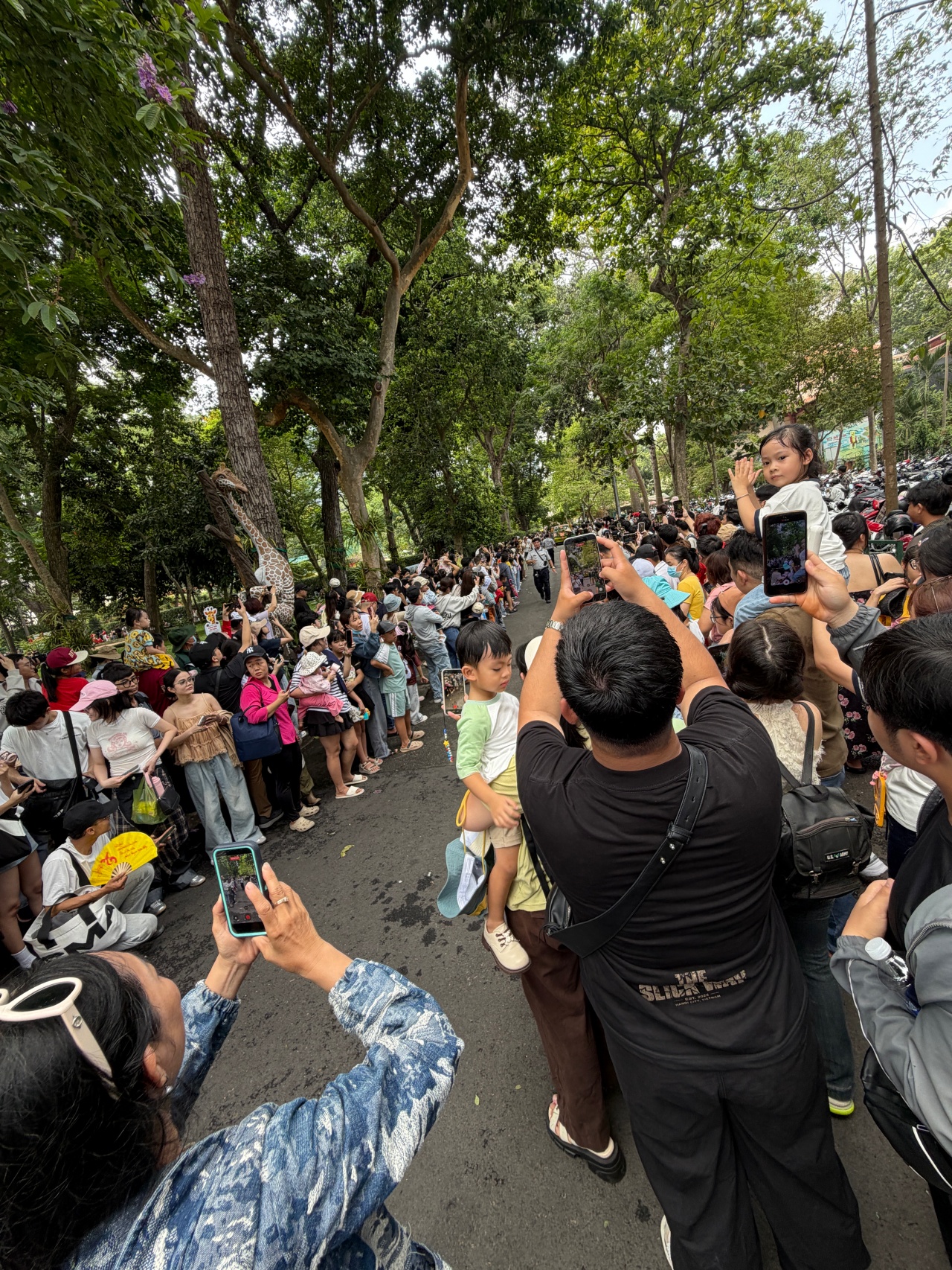 Đ&aacute;m cưới hươu cao cổ tại Thảo Cầm Vi&ecirc;n S&agrave;i G&ograve;n tạo n&ecirc;n sự kiện ấn tượng 30 / 4 - Ảnh 7.