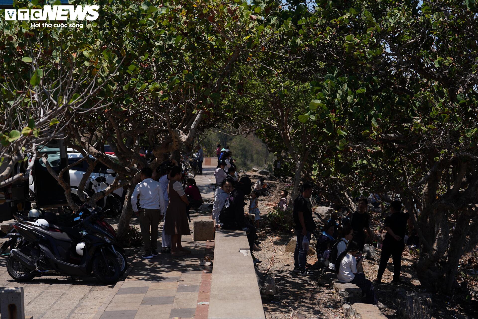 Ng&agrave;y đầu nghỉ lễ 30 / 4 , người d&acirc;n TP . HCM trải bạt chờ tắm biển Vũng T&agrave;u - Ảnh 1.