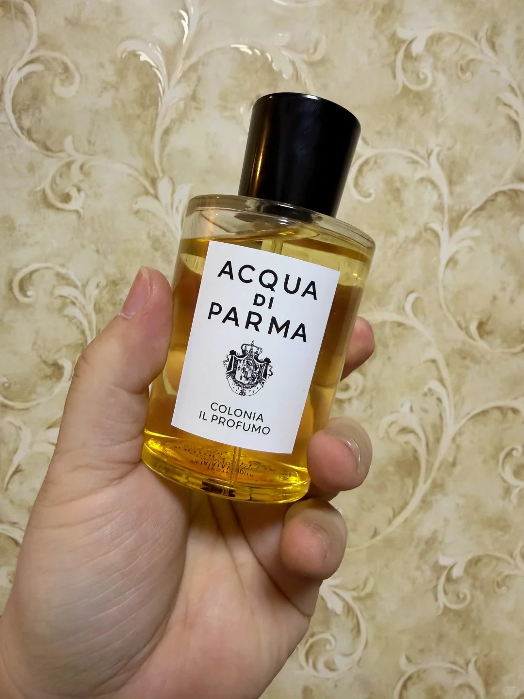 Đổi vận may với 8 lọ nước hoa vỏ cam chanh h&uacute;t lộc dễ chịu năm 2026 - Ảnh 4.