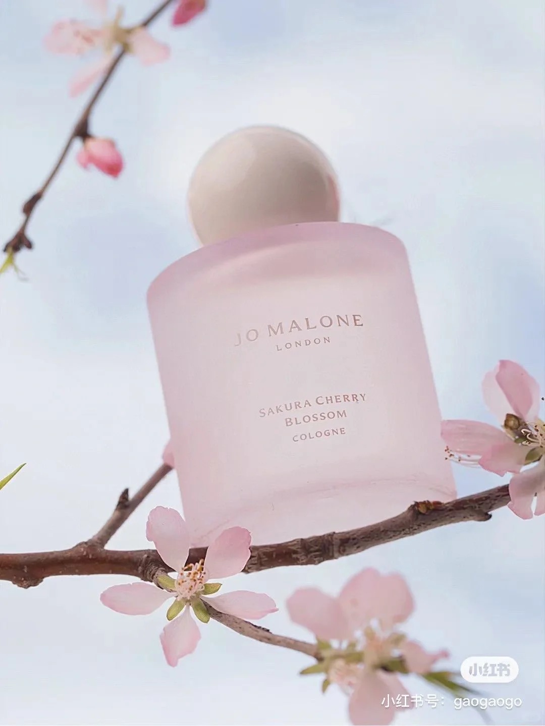 Nước hoa thu h&uacute;t t&igrave;nh y&ecirc;u gi&uacute;p bạn tho&aacute;t ế ngay năm 2026 với phong thủy vượng kh&iacute; - Ảnh 5.