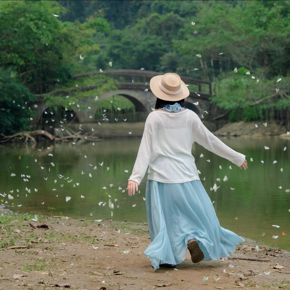 Trải nghiệm Mùa bướm Cúc Phương 2026 - khám phá thế giới Ghibli giữa đời thực - Ảnh 10. Trải nghiệm Mùa bướm Cúc Phương 2026 - khám phá thế giới Ghibli giữa đời thực - Ảnh 10.