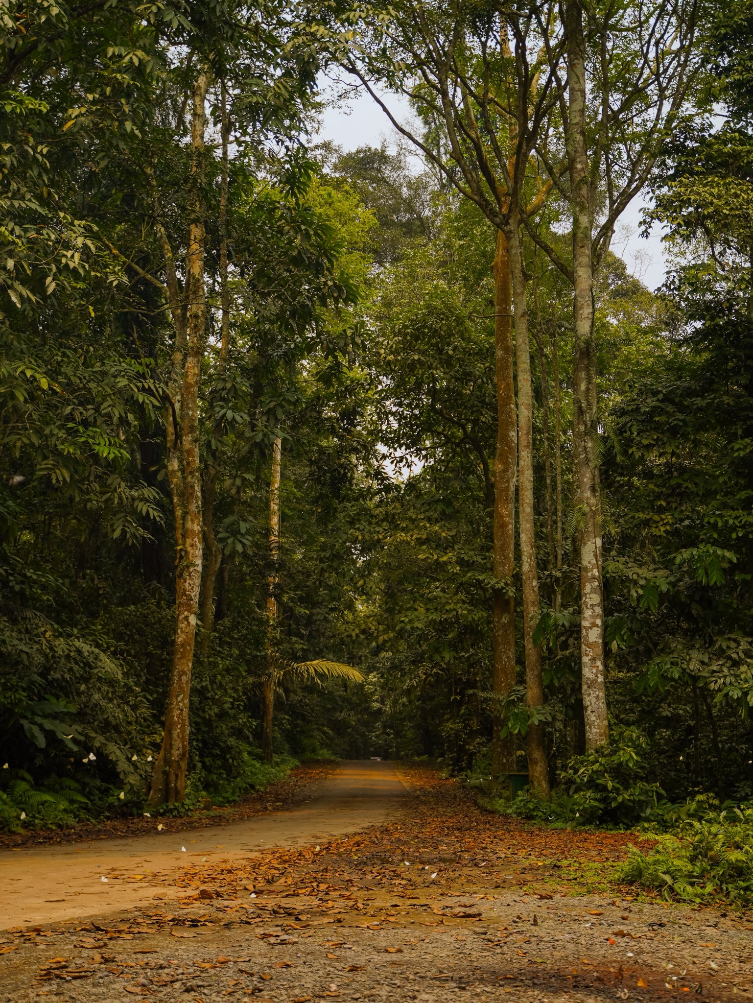 Trải nghiệm Mùa bướm Cúc Phương 2026 - khám phá thế giới Ghibli giữa đời thực - Ảnh 13. Trải nghiệm Mùa bướm Cúc Phương 2026 - khám phá thế giới Ghibli giữa đời thực - Ảnh 13.