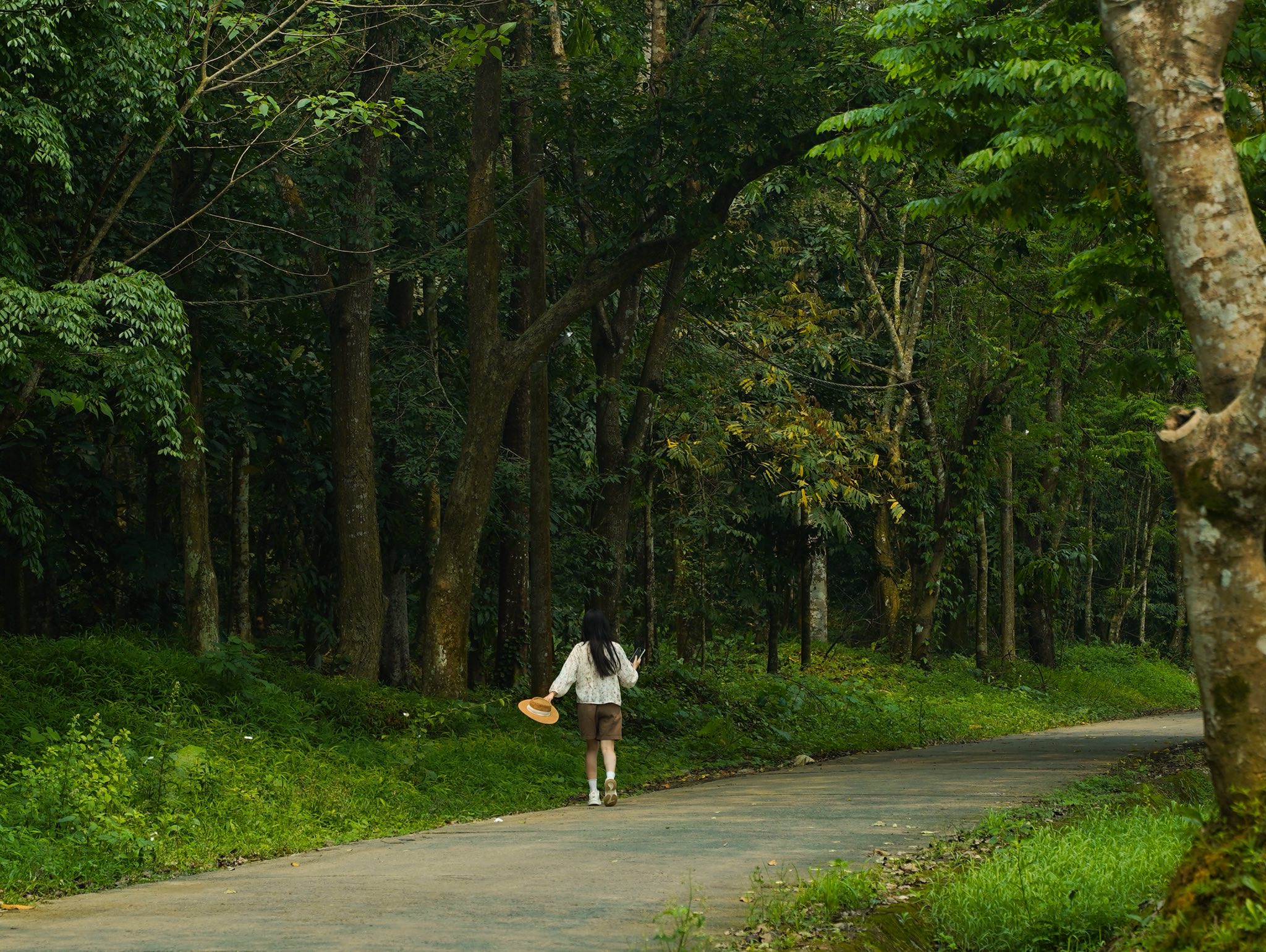 Trải nghiệm Mùa bướm Cúc Phương 2026 - khám phá thế giới Ghibli giữa đời thực - Ảnh 5. Trải nghiệm Mùa bướm Cúc Phương 2026 - khám phá thế giới Ghibli giữa đời thực - Ảnh 5.