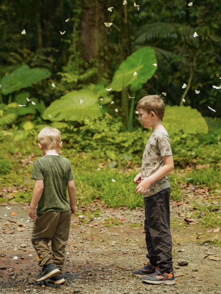 Trải nghiệm Mùa bướm Cúc Phương 2026 - khám phá thế giới Ghibli giữa đời thực - Ảnh 3. Trải nghiệm Mùa bướm Cúc Phương 2026 - khám phá thế giới Ghibli giữa đời thực - Ảnh 3.